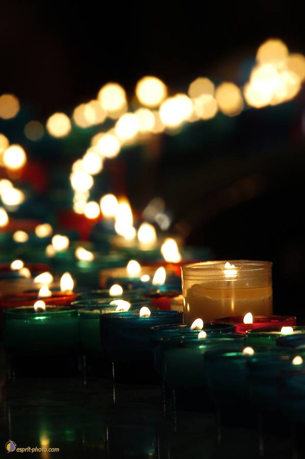 Nom de l'image : D1191664-1_(c)Norbert-JUNG — Description :  Paris - Toussaint 2004